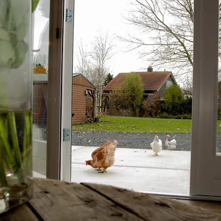 Bed & Breakfast Purmerland Purmerend