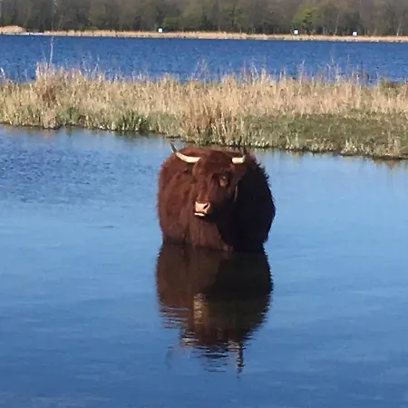 Alojamento de Acomodação e Pequeno-almoço Purmerland 3*
