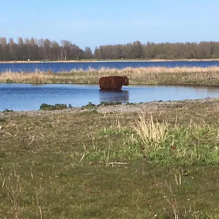 לינה וארוחת בוקר Purmerland 3*