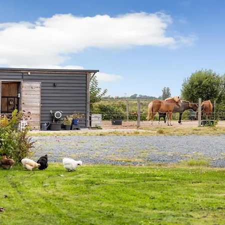 Bed & Breakfast Purmerland Purmerend