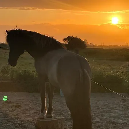 Bed & Breakfast Purmerland Purmerend