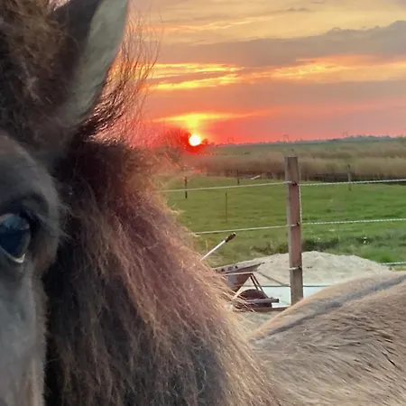 Purmerland Bed & Breakfast Purmerend