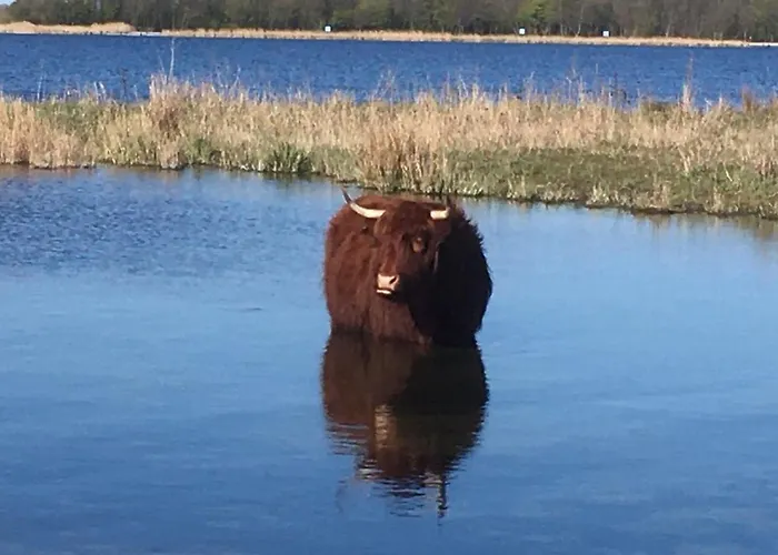 Bed & Breakfast Purmerland 3*