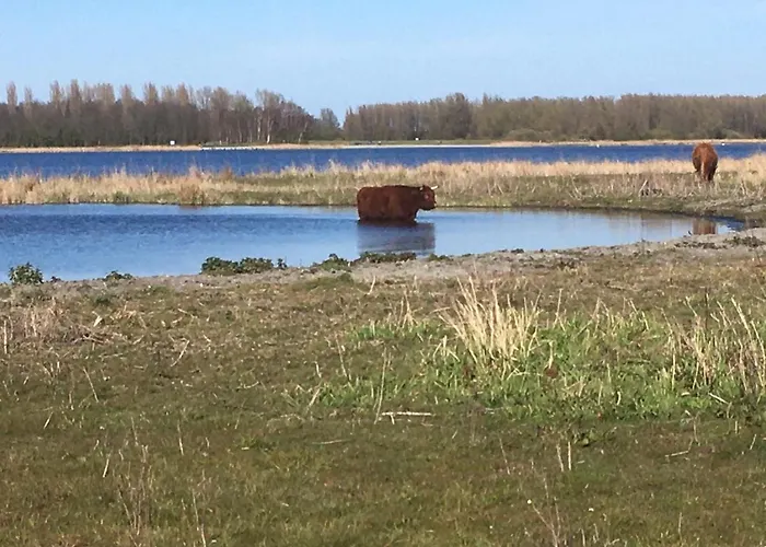 Bed & Breakfast Purmerland 3*